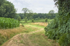 wandeling_paasloo_6km-11